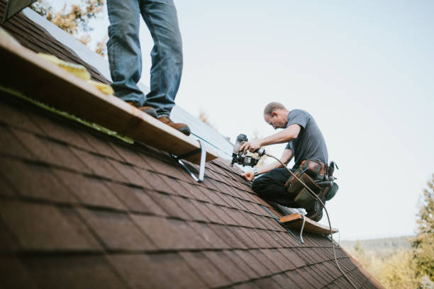 Roof Gutter Cleaning in Richmond Hill, GA